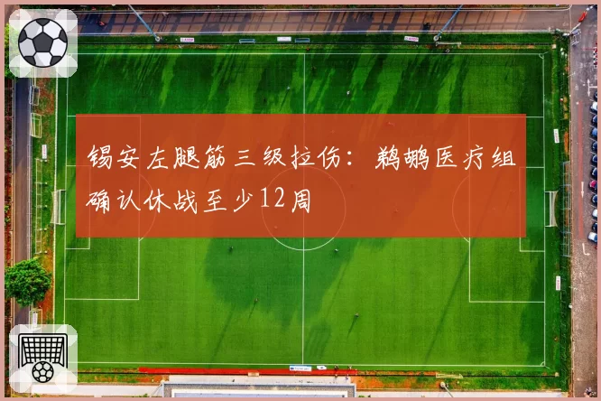 锡安左腿筋三级拉伤：鹈鹕医疗组确认休战至少12周