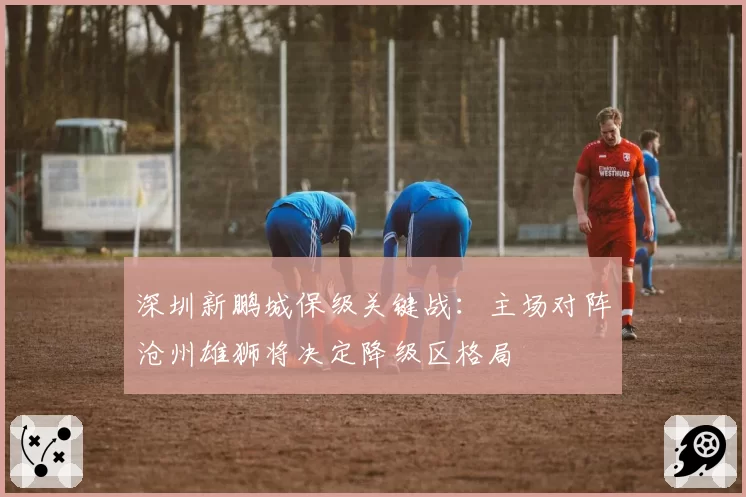 深圳新鹏城保级关键战:主场对阵沧州雄狮将决定降级区格局