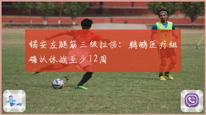 锡安左腿筋三级拉伤：鹈鹕医疗组确认休战至少12周
